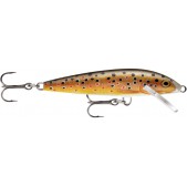F05 (TR) Brown Trout